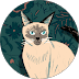 Siamese cat with blue eyes and dark points against a teal floral patterned background.